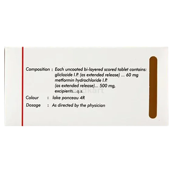 diamicron xr mex 60/500mg tablet 15's